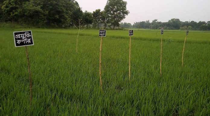 সচেতনতা ও প্রযুক্তিতে বদলে গেছে বরেন্দ্র কৃষি