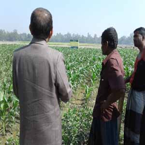 মোয়াজ্জেম হোসেন